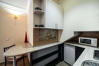 Апартаменты Central Studio Apartments Modern Львов Апартаменты-студио-23