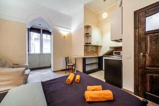 Апартаменты Central Studio Apartments Modern Львов Апартаменты-студио-41
