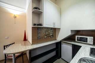 Апартаменты Central Studio Apartments Modern Львов Апартаменты-студио-50