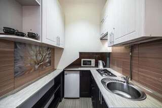 Апартаменты Central Studio Apartments Modern Львов Апартаменты-студио-56
